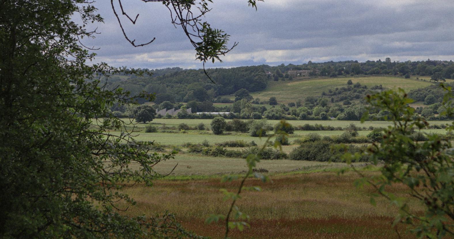 crimplecommon-view