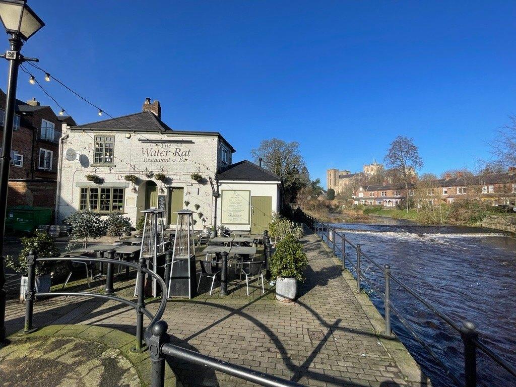 ripon-waterrat