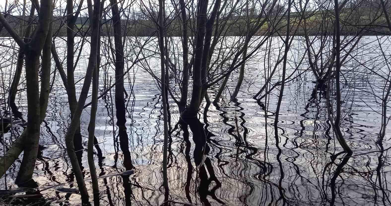 fewstonreservoir-waterpatterns