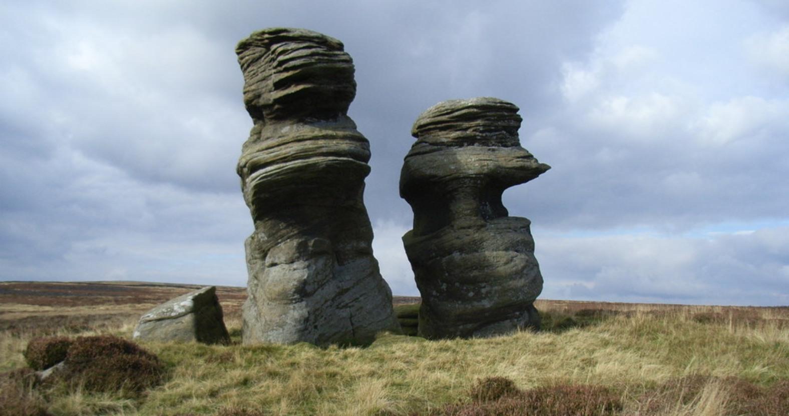 nidderdale-jennytwiggdaughtertib