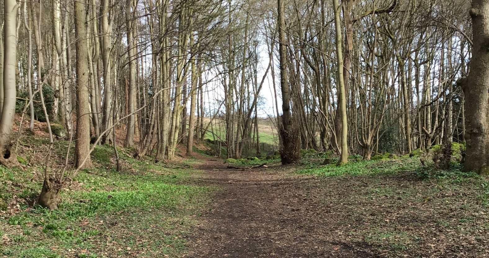 sandybankquarry