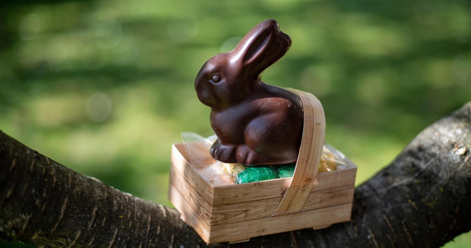 web-stock-image-easter-egg-hunt