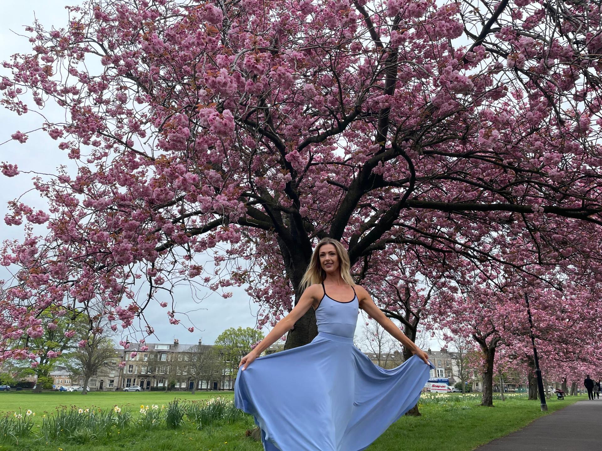 cherry-blossom-17