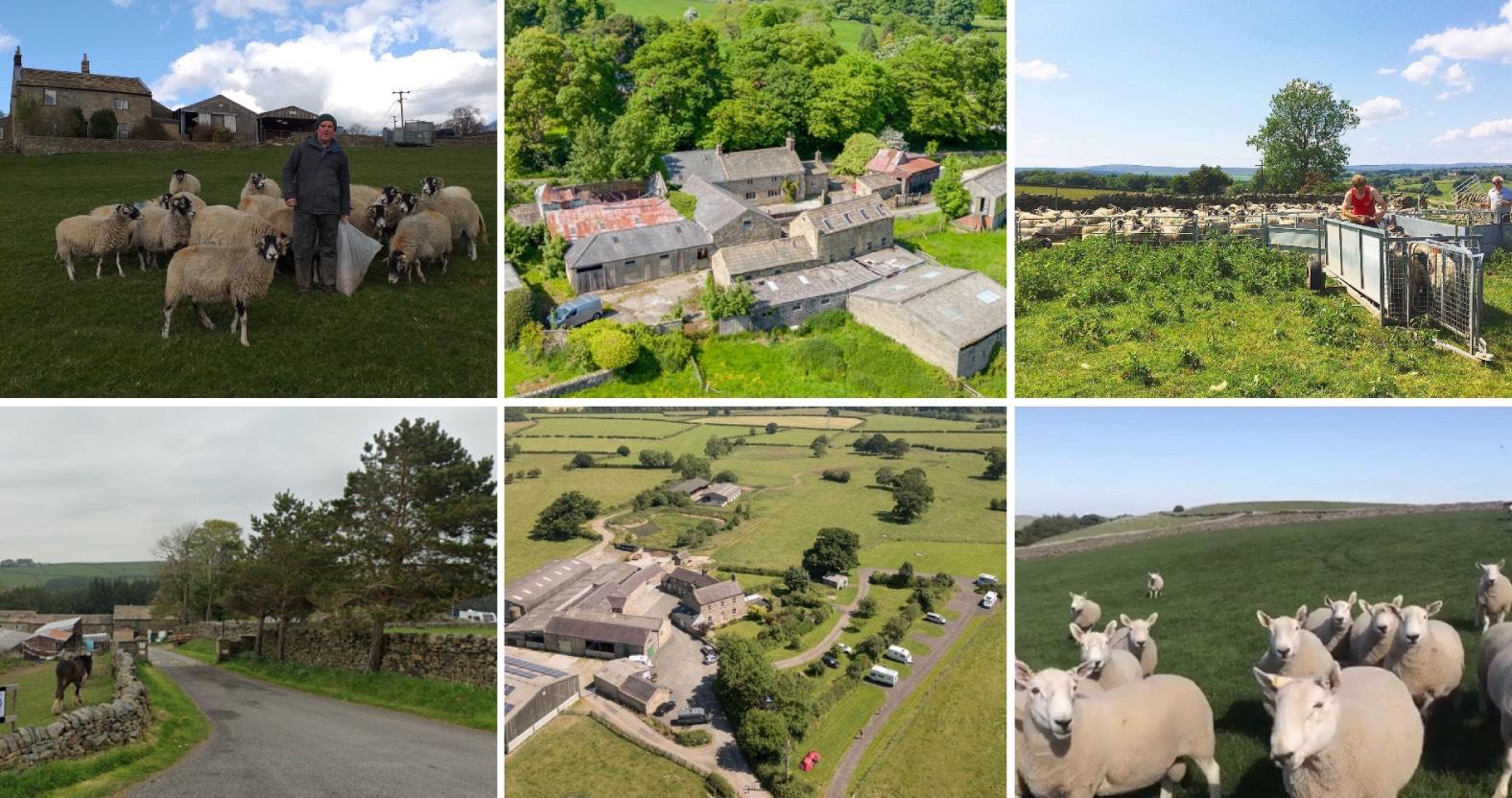 examples-of-farms-across-the-harrogate-district
