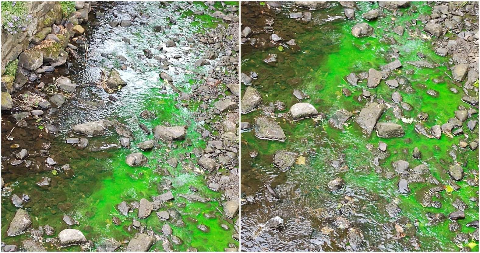 crimplebeck-green-comp