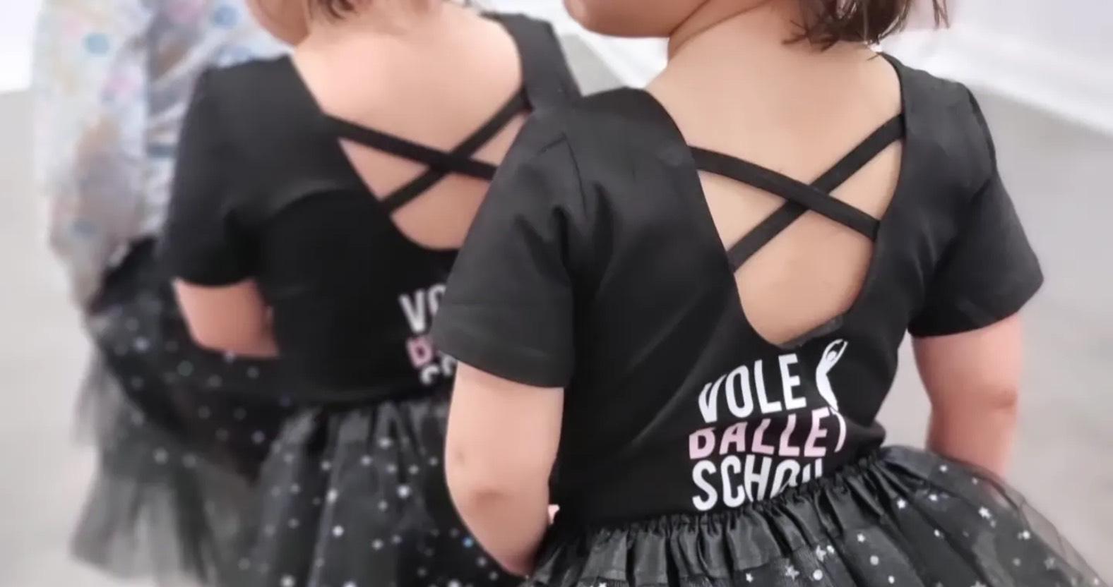 web-vole-ballet-school