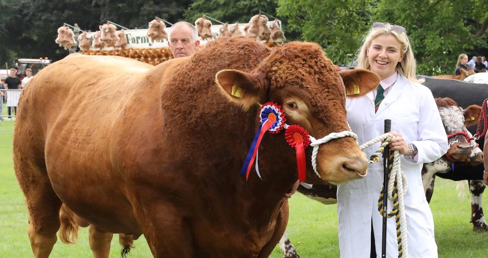 aldboroughshow