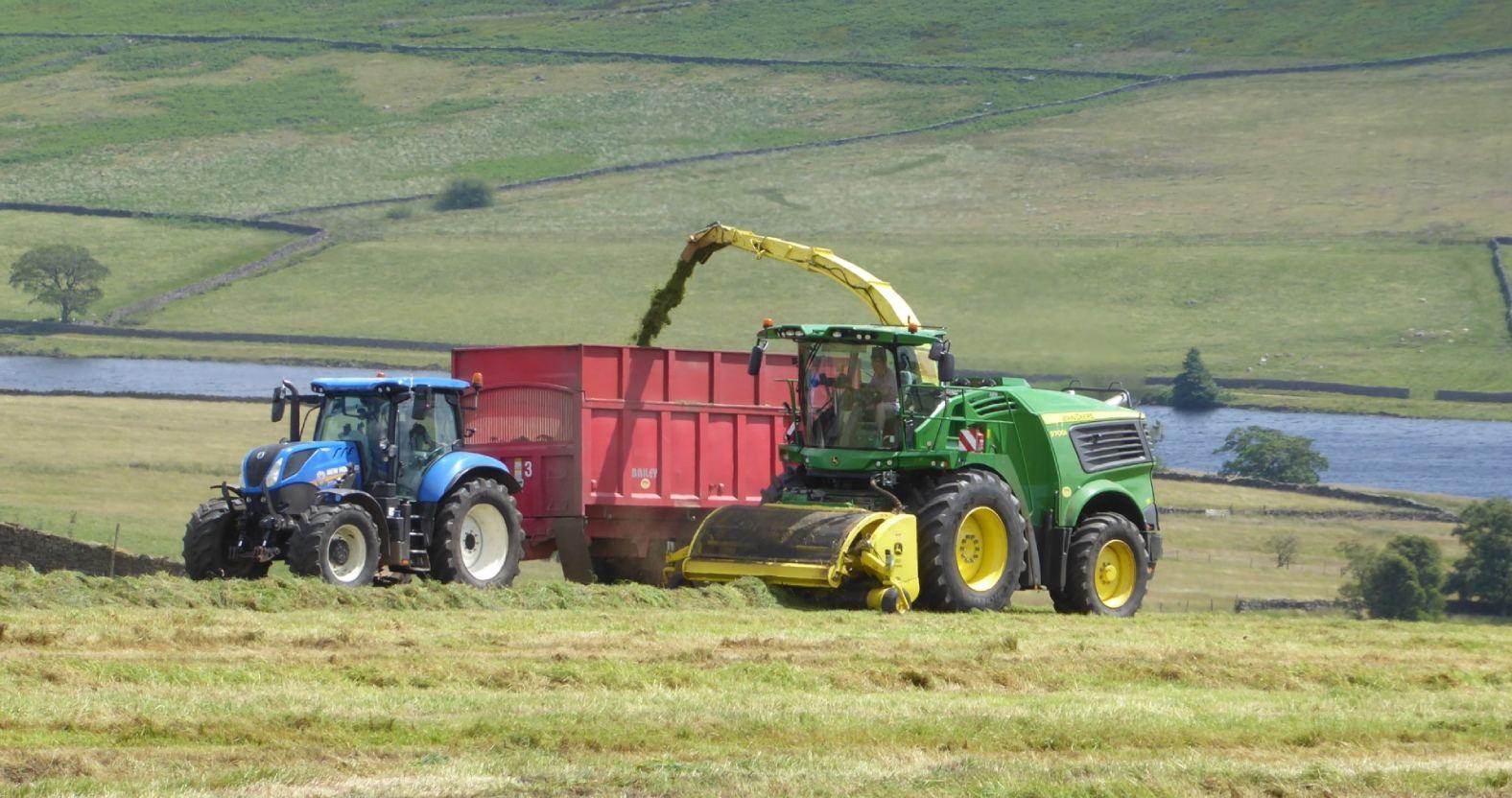 heathermiddleton-silaging