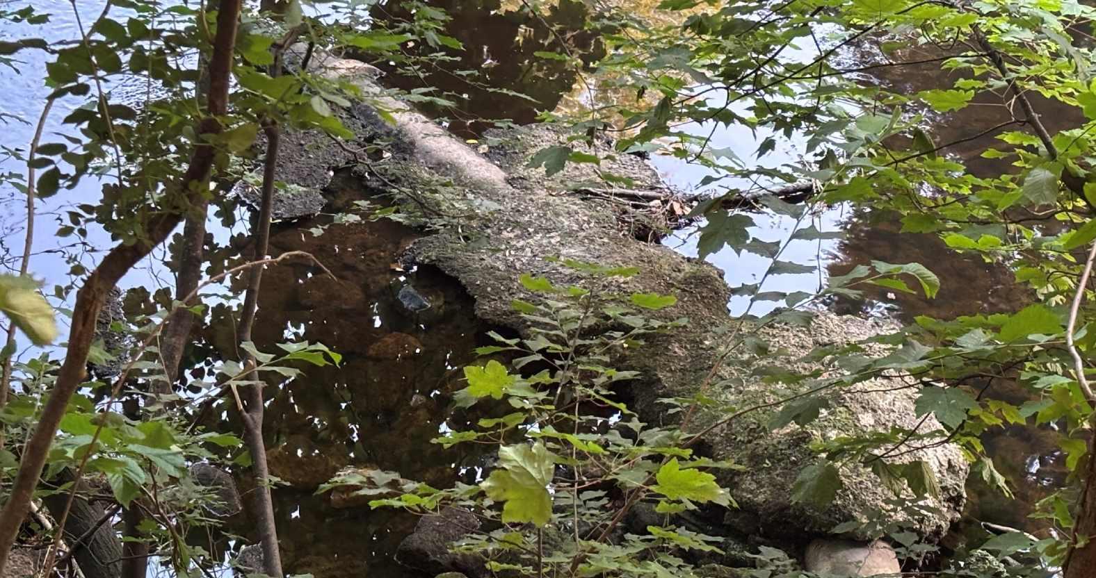 knaresborough-nidd-sewagepipe