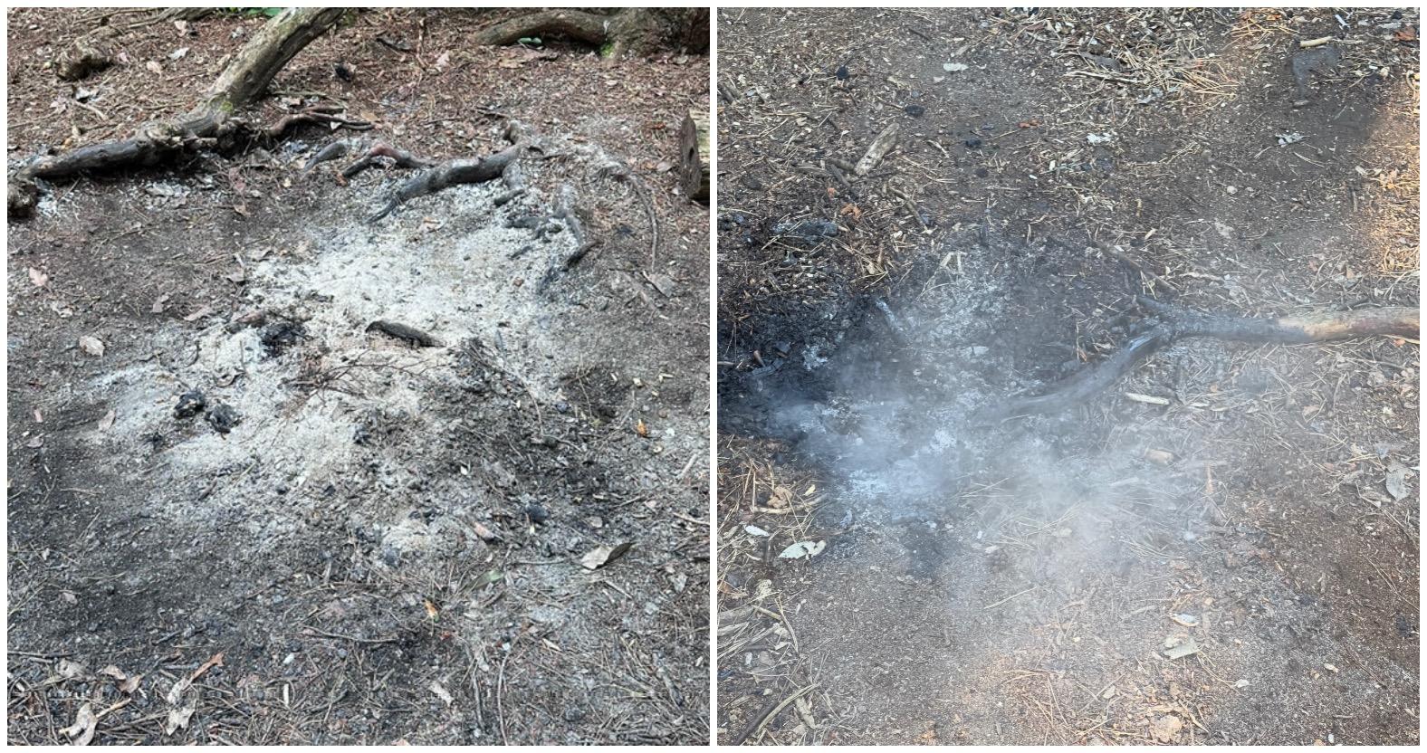 pinewoodsfire