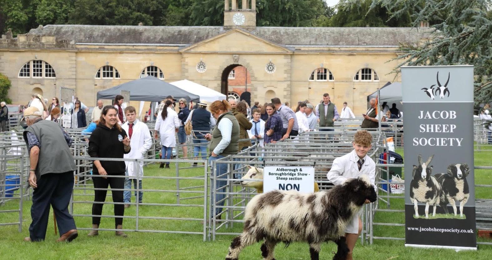 web-aldborough-boroughbride-show-which-is-being-held-at-newby-hall-on-sunday-26-july
