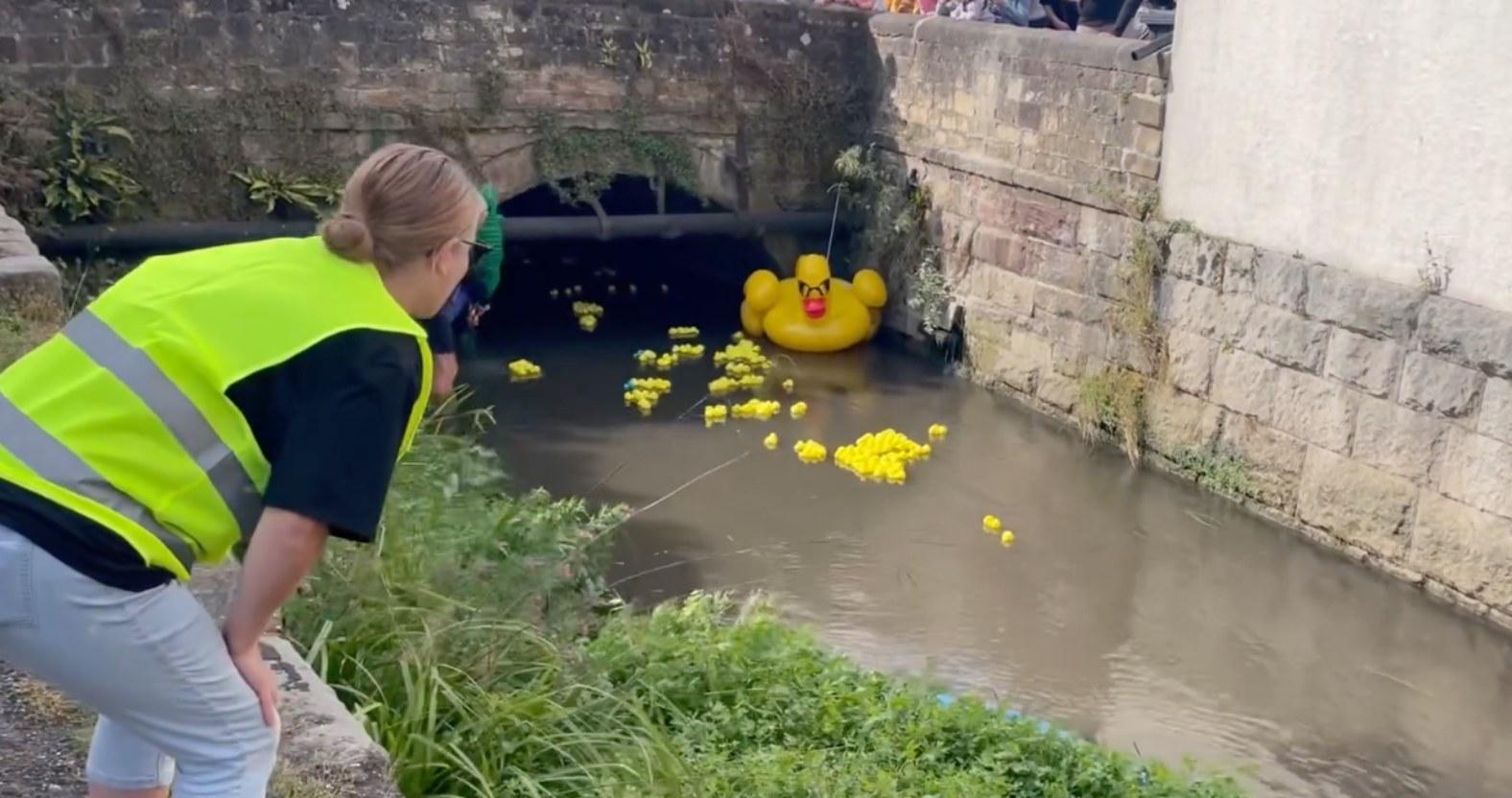 boroughbridge-duckrace-leadingduck