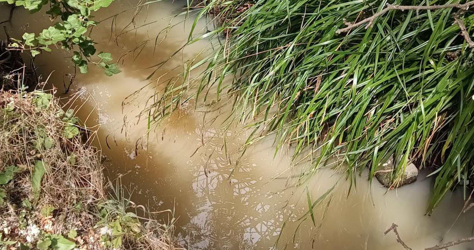 harrogate-biltonbeck-pollution1
