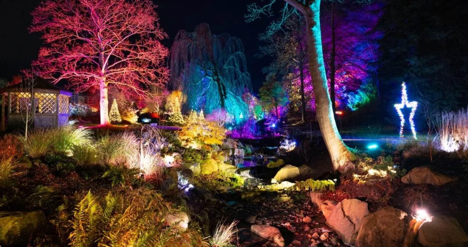 harrogate-rhsharlowcarr-glow