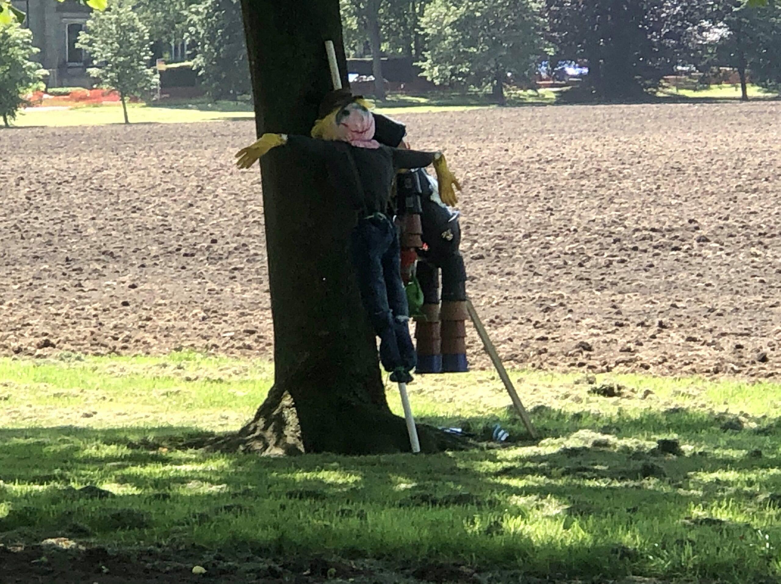 scarecrows-on-the-stray