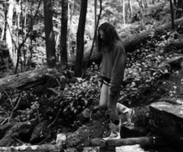 ripon-1st-july-2020-rgs-photo-comp-woodland-2