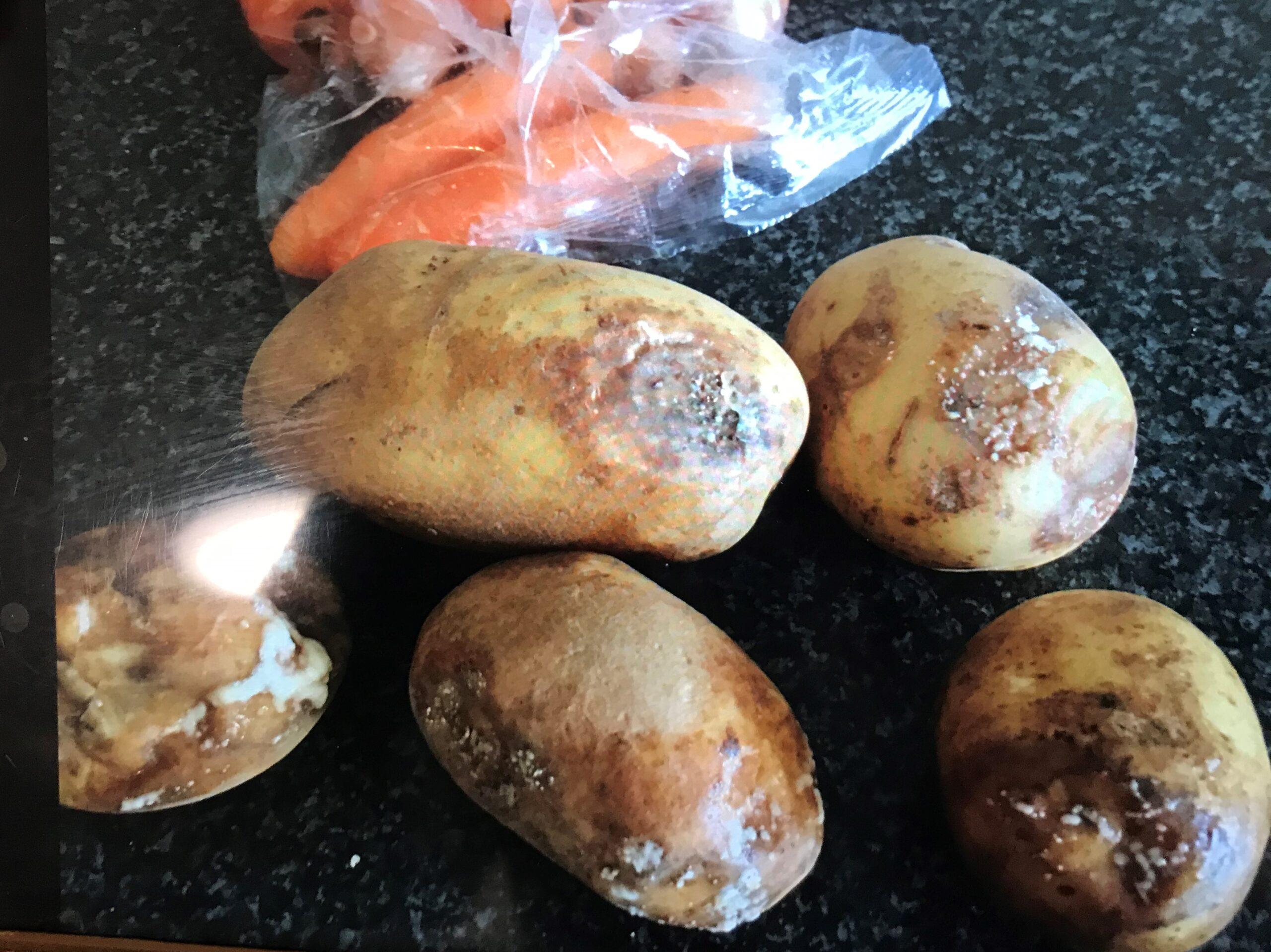 ripon-6th-july-2020-rotten-carrots-and-potatoes-2