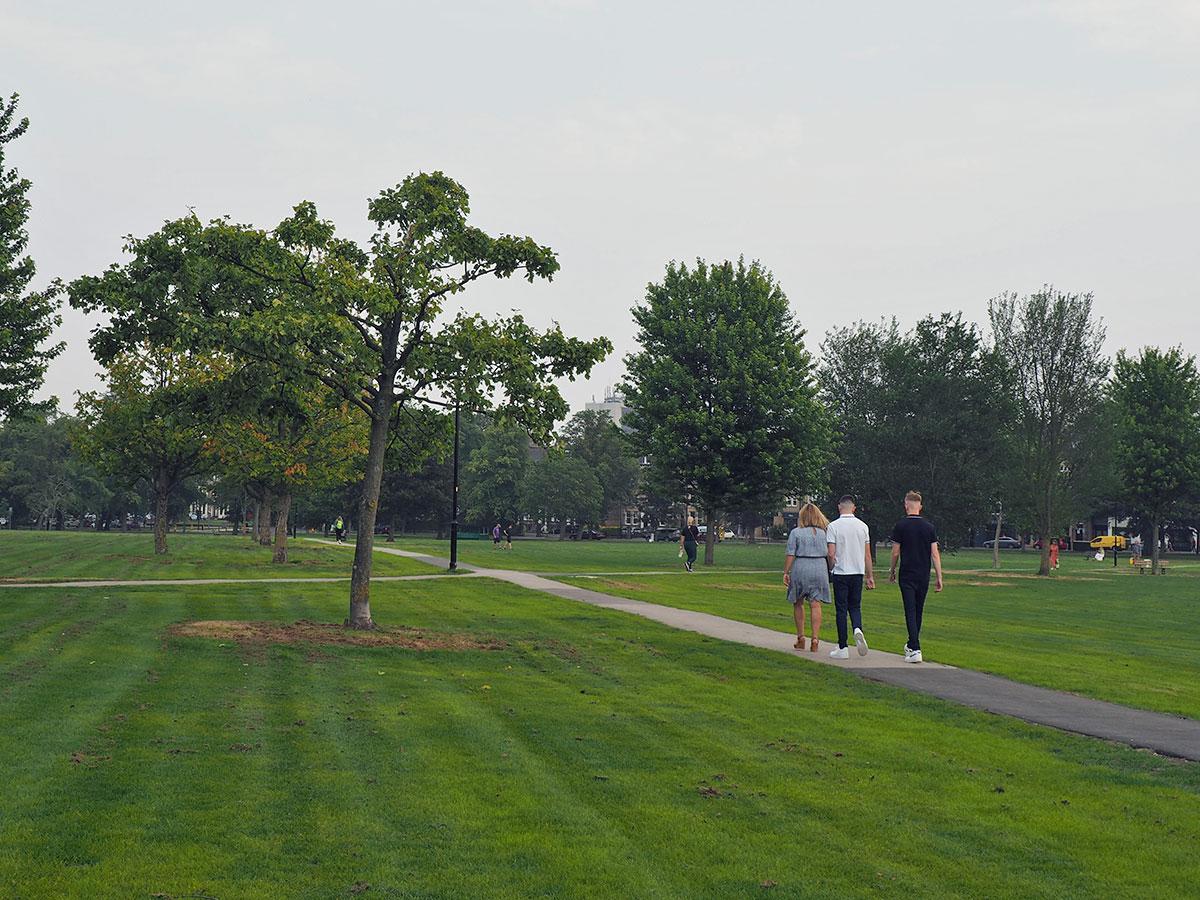 west-park-stray-opens-1