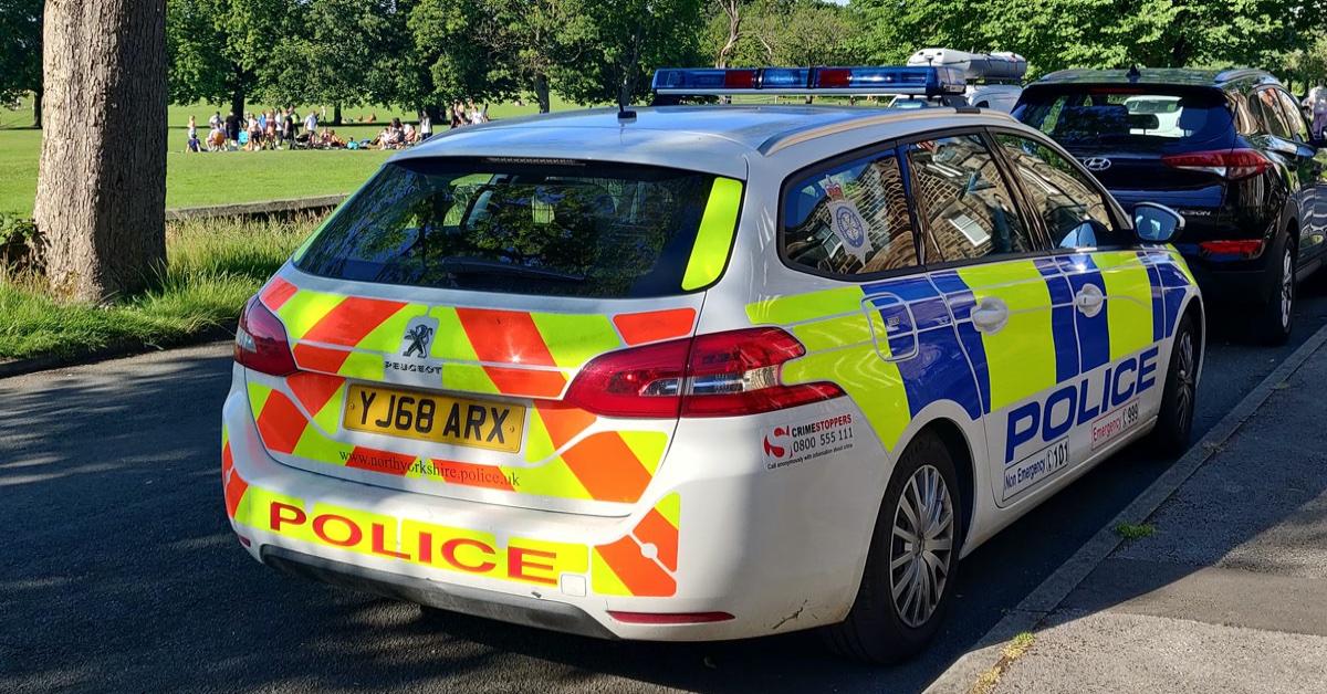 police-on-the-strayresized