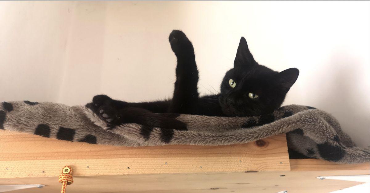 screenshot-2020-09-29-at-15