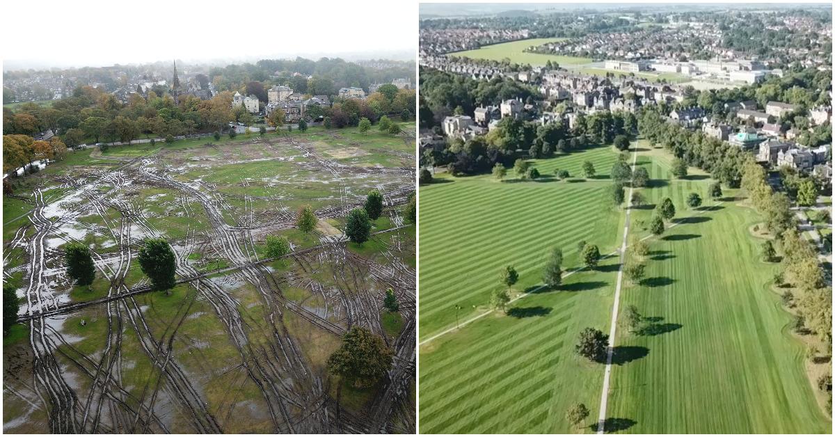 west-park-stray-collage