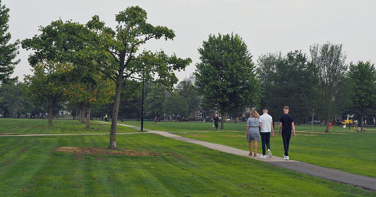 west-park-stray-opens-1-2