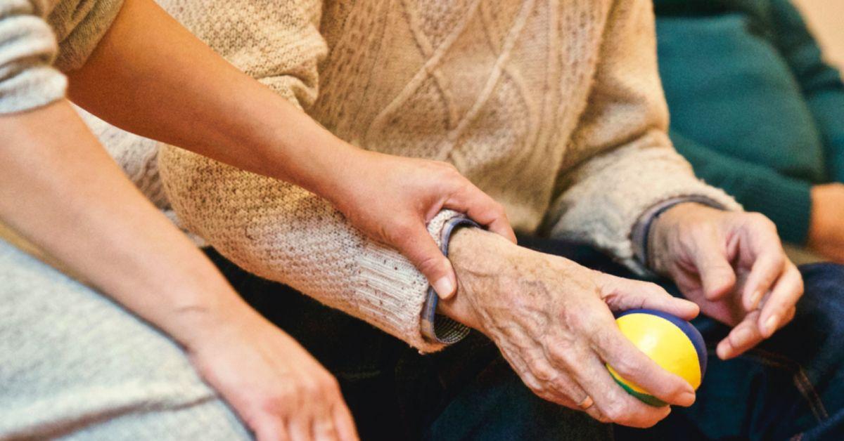 pexels-matthias-zomer-339620-1