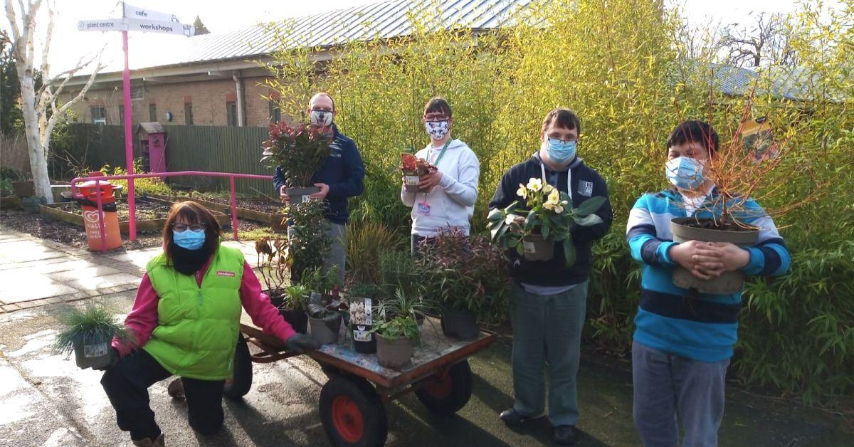 screenshot-2021-02-18-at-14