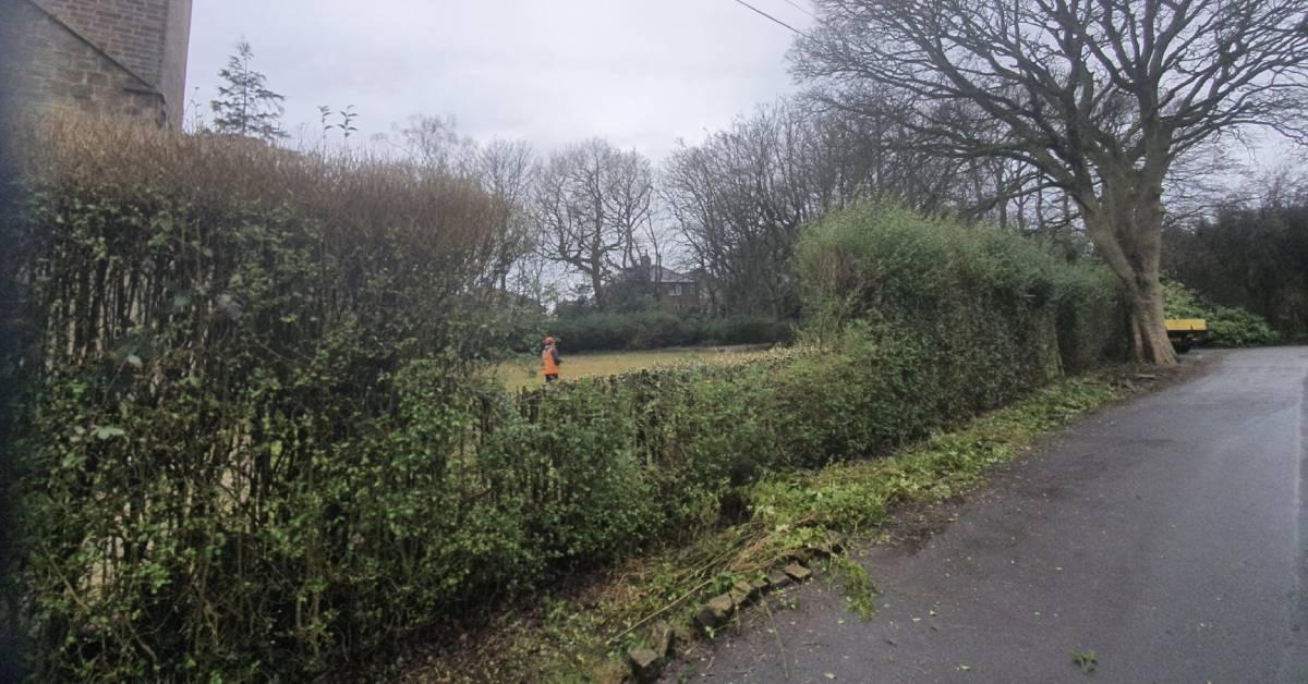 screenshot-2021-02-22-at-13