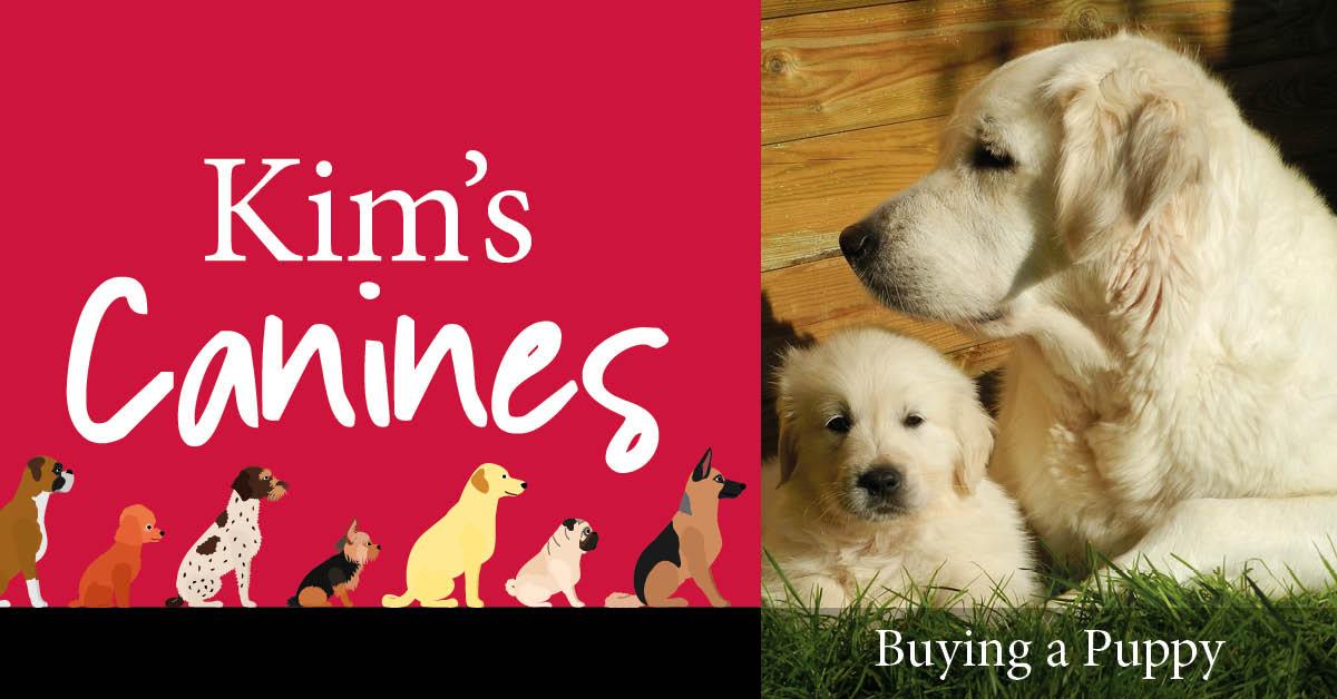 kims-canines-purchasing-a-puppy