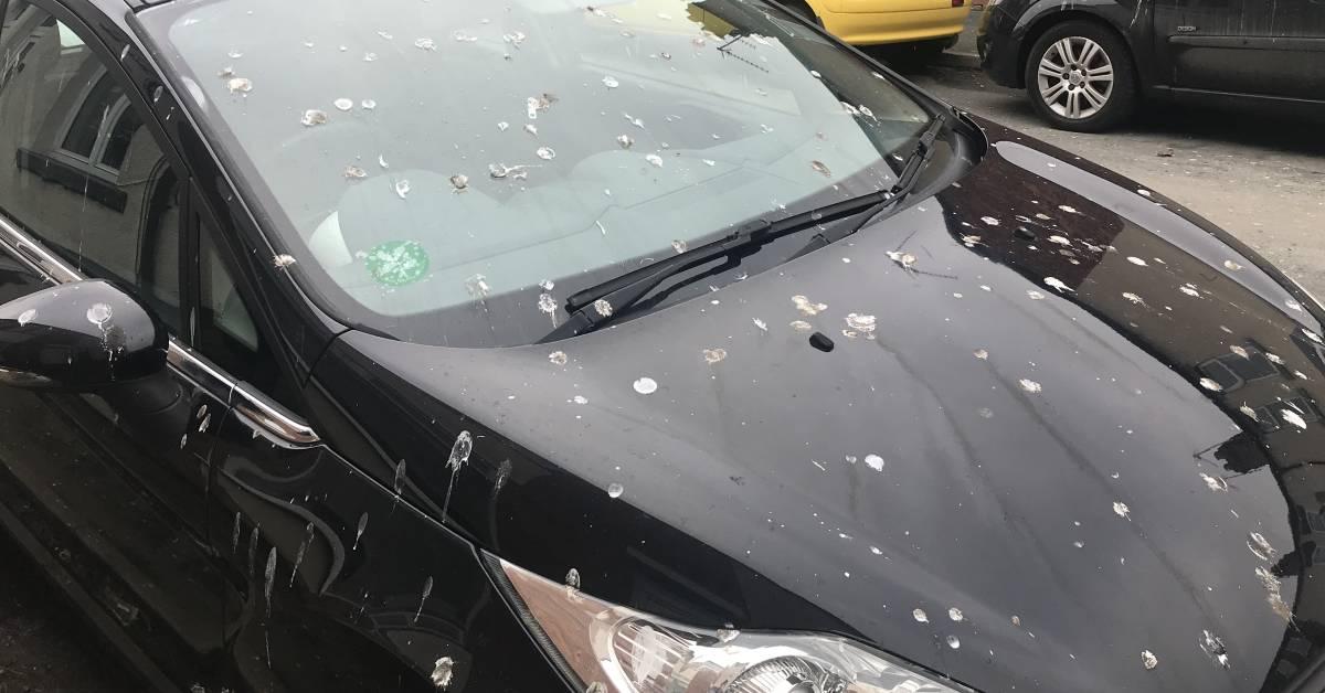 ripon-2nd-march-2021-car-with-bird-poo-1