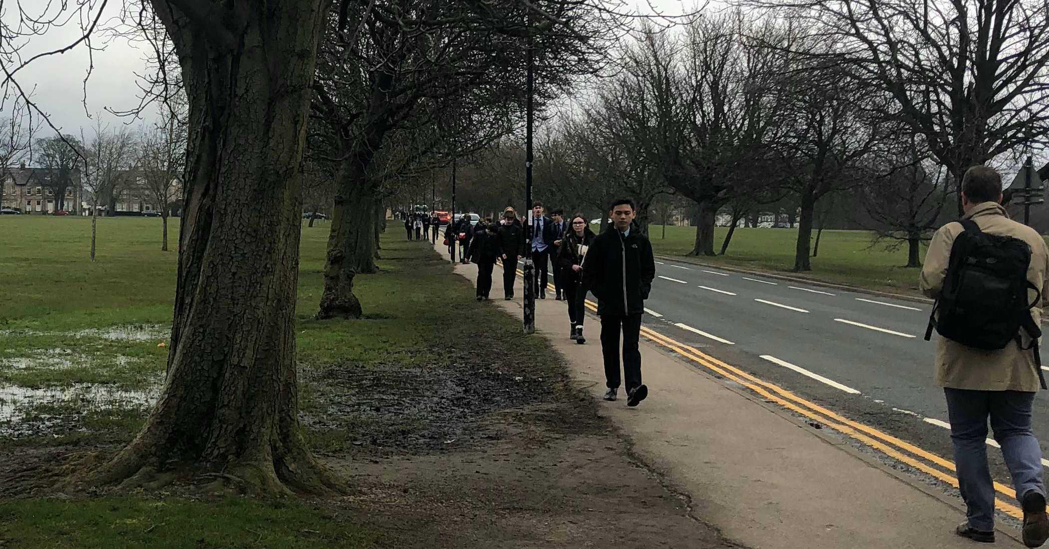 school-children-walking-on-the-stray