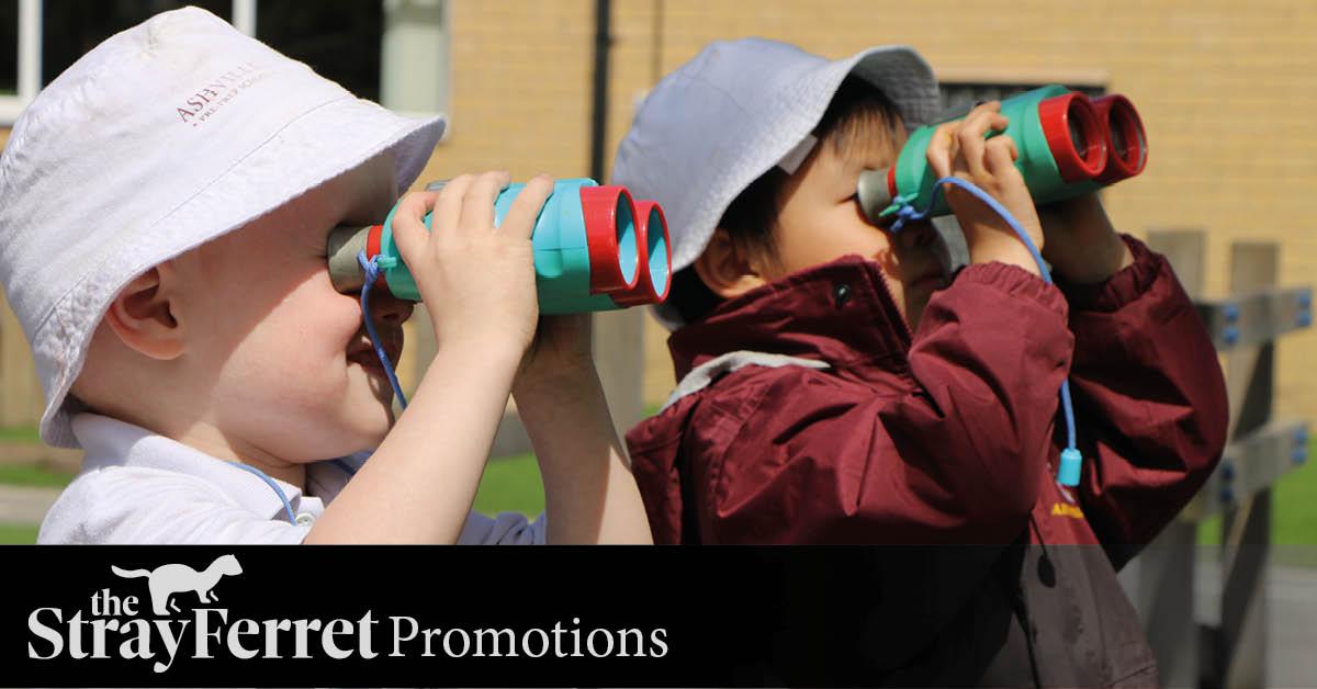 tsf-advertorial-header-ashville-acorns