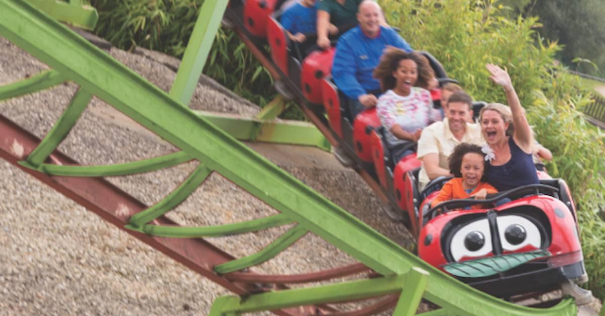the-ladybird-rollercoaster-lightwater-valley
