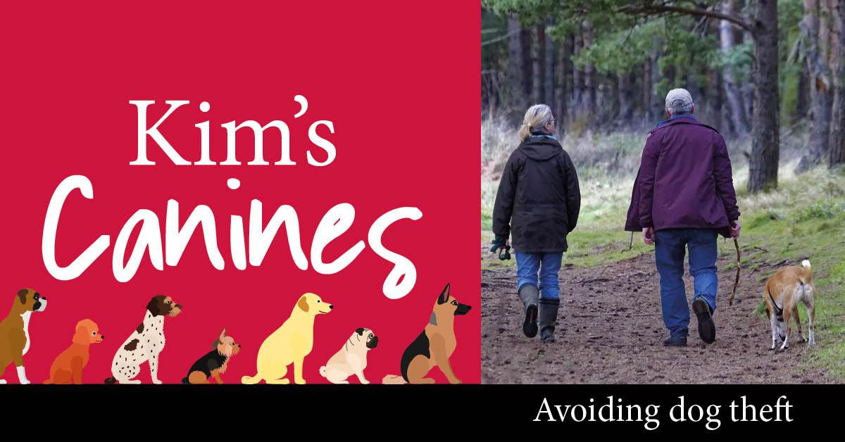 kims-canines-header-dog-thefts