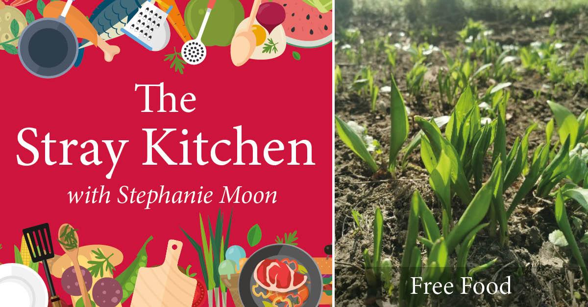 stray-kitchen-header-free-food