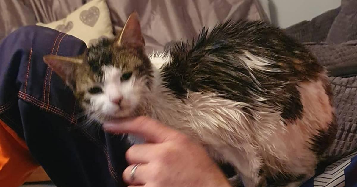 174211040_10222222209937655_5017757211178566327_n-1