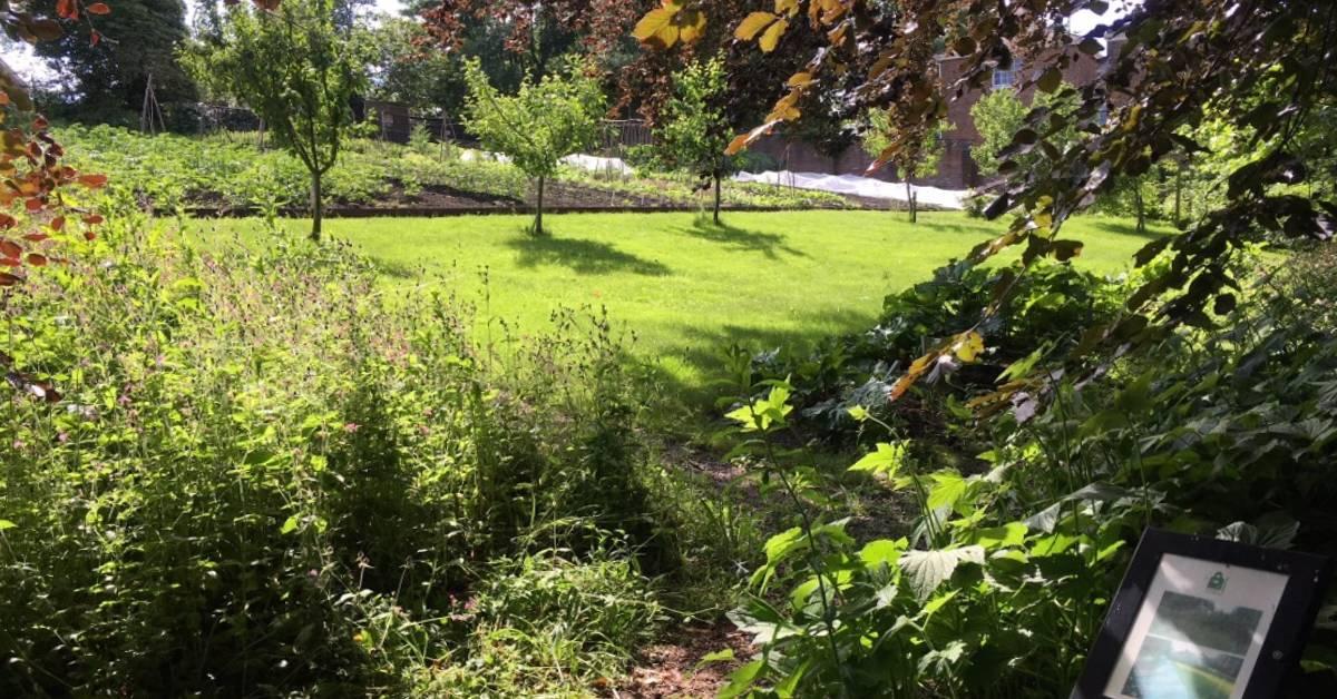 ripon-13th-april-2021-ripon-workhouse-gardens