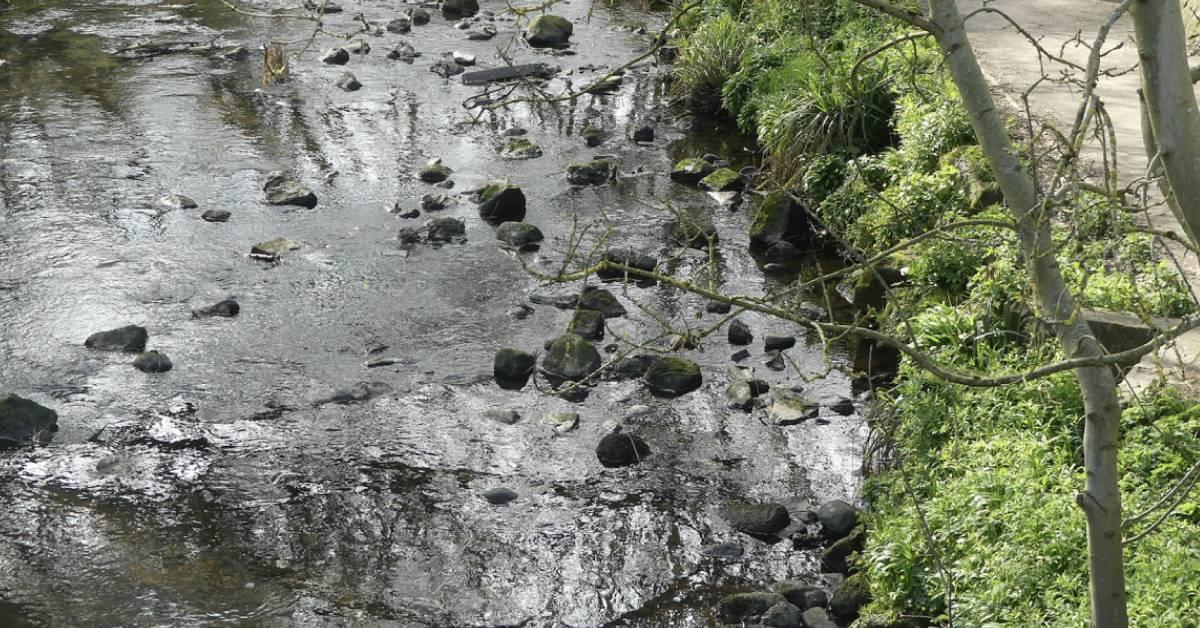 screenshot-2021-04-08-at-11-1