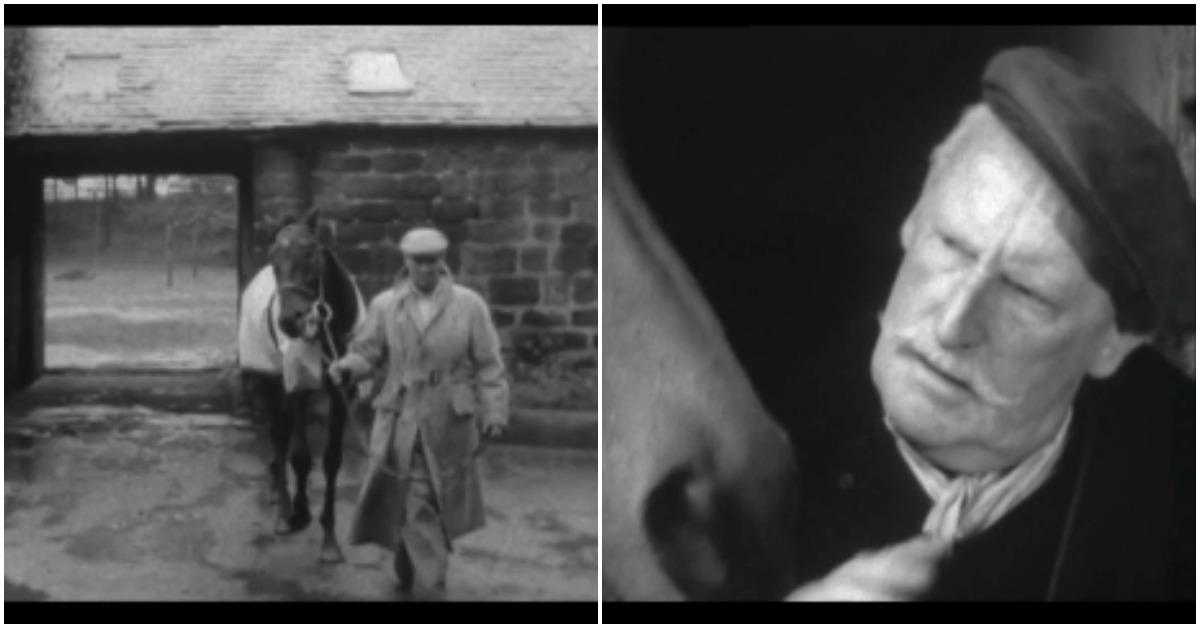 yorkshire-horse-breaker