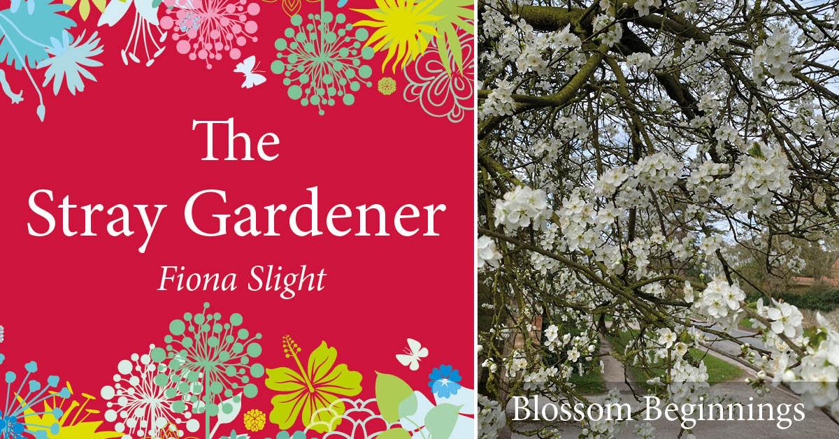 stray-gardener-blossom