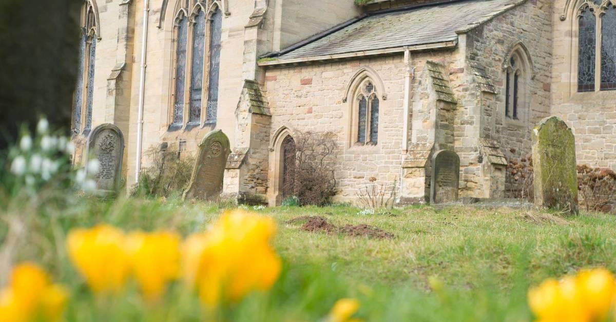 17017131_1582796761734017_2234687934883486422_o-1