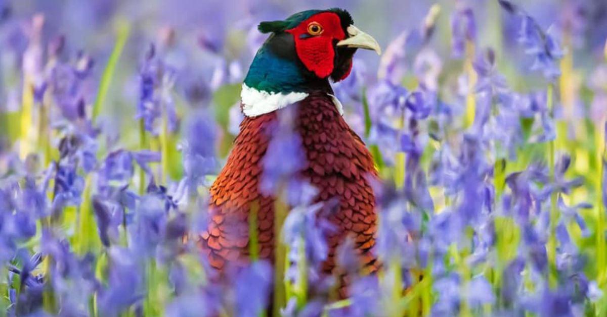 181796567_10159311841344382_7713662389230776602_n