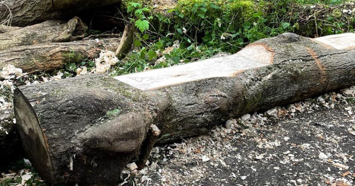 190902912_1574108979454185_8917005506651527919_n