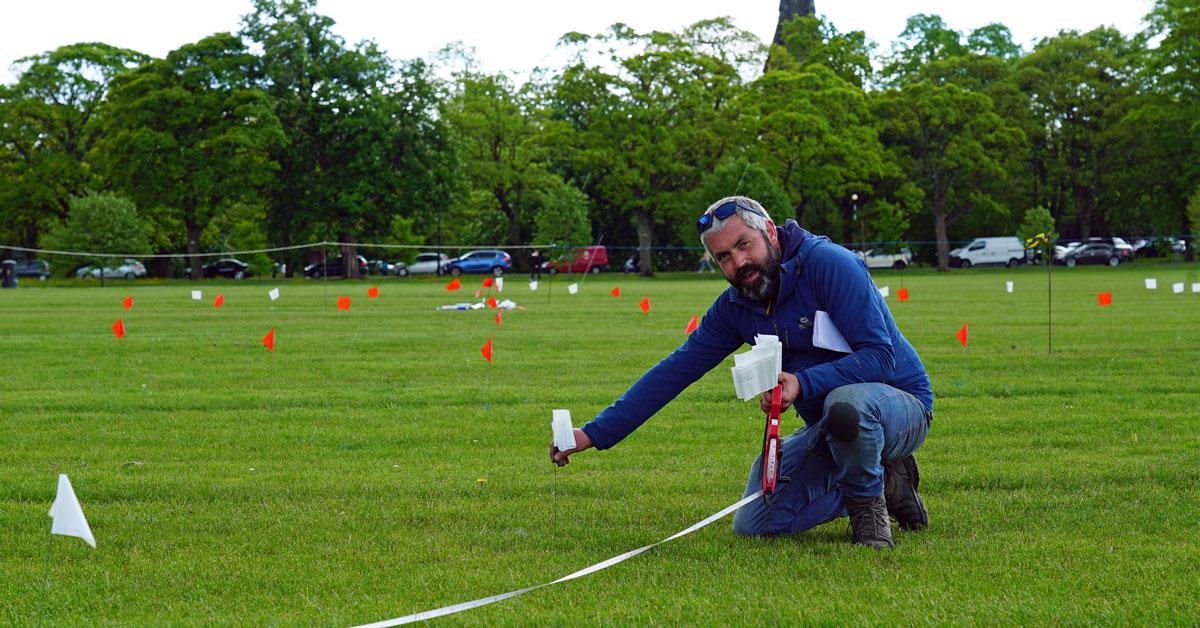 art-installation-on-the-stray