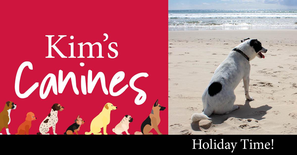 kims-canines-header-holiday-time