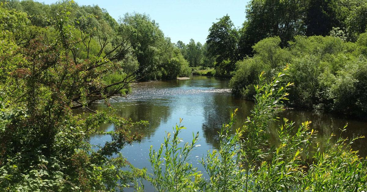 river-ure-near-hutton-conyers-and-nunwick
