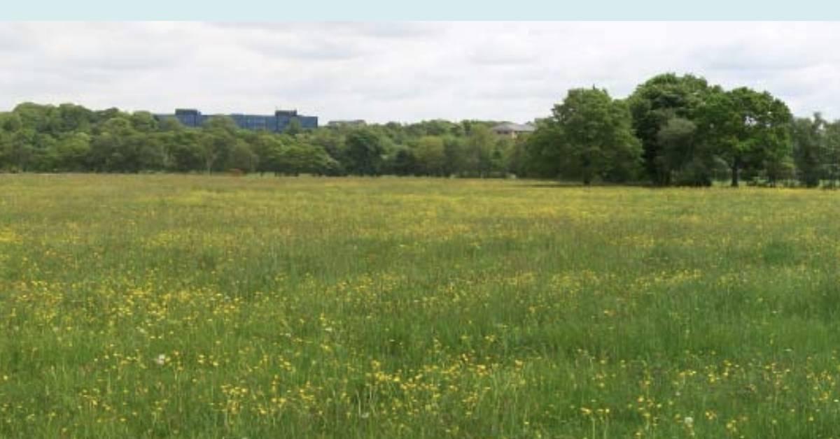 screenshot-2021-05-13-at-11-28-48-2