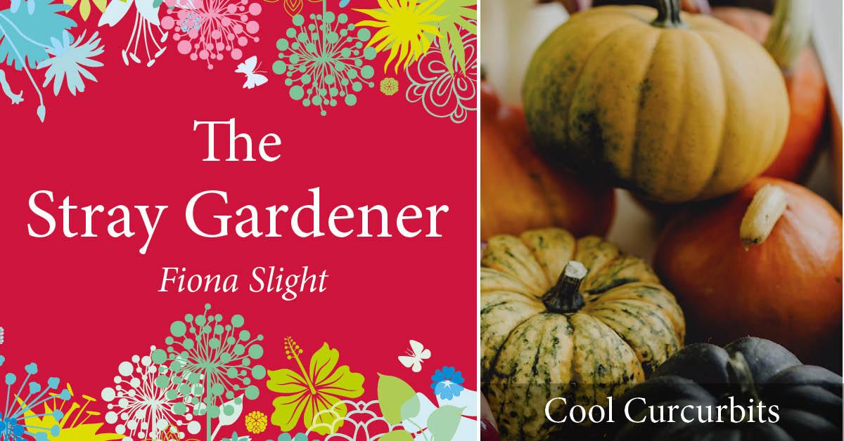 stray-gardener-header-cool-curcurbits