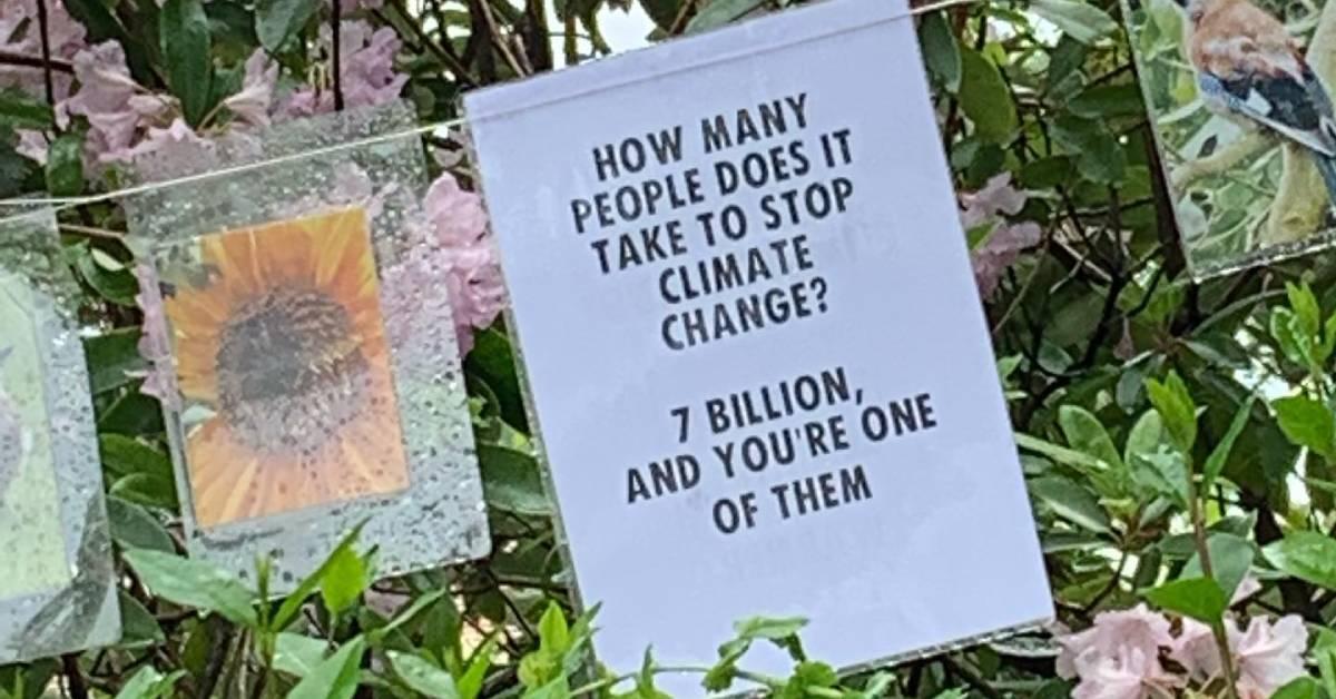 193475530_443944566641665_3188923079744871585_n